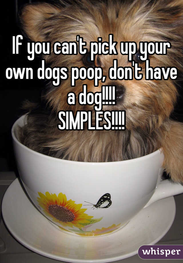 If you can't pick up your own dogs poop, don't have a dog!!!!
SIMPLES!!!!