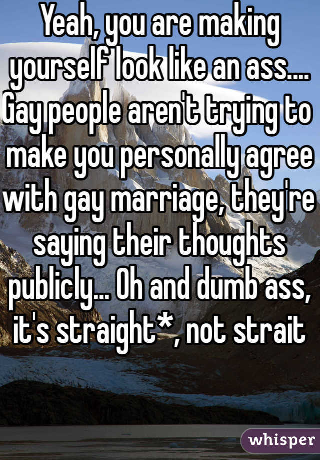 Yeah, you are making yourself look like an ass.... Gay people aren't trying to make you personally agree with gay marriage, they're saying their thoughts publicly... Oh and dumb ass, it's straight*, not strait 