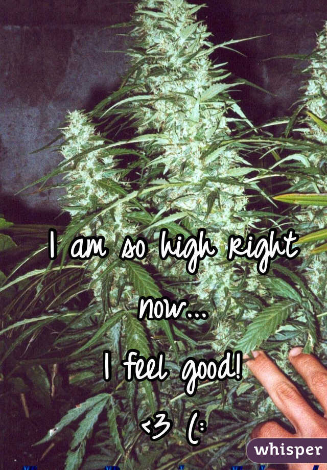 I am so high right now...
I feel good! 
<3 (: