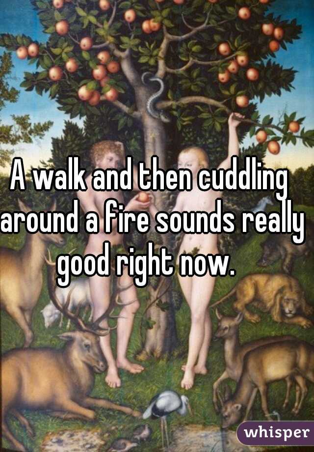 A walk and then cuddling around a fire sounds really good right now.  
