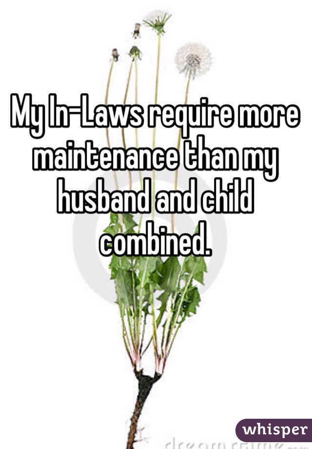My In-Laws require more maintenance than my husband and child combined. 