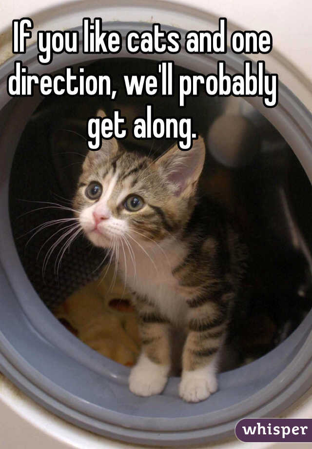 If you like cats and one direction, we'll probably get along. 