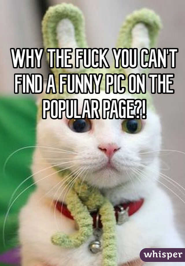 WHY THE FUCK YOU CAN'T FIND A FUNNY PIC ON THE POPULAR PAGE?!