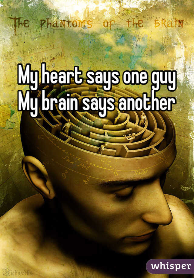 My heart says one guy
My brain says another 