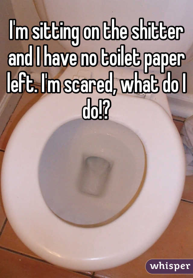 I'm sitting on the shitter and I have no toilet paper left. I'm scared, what do I do!?