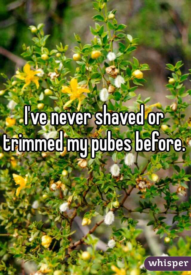I've never shaved or trimmed my pubes before. 