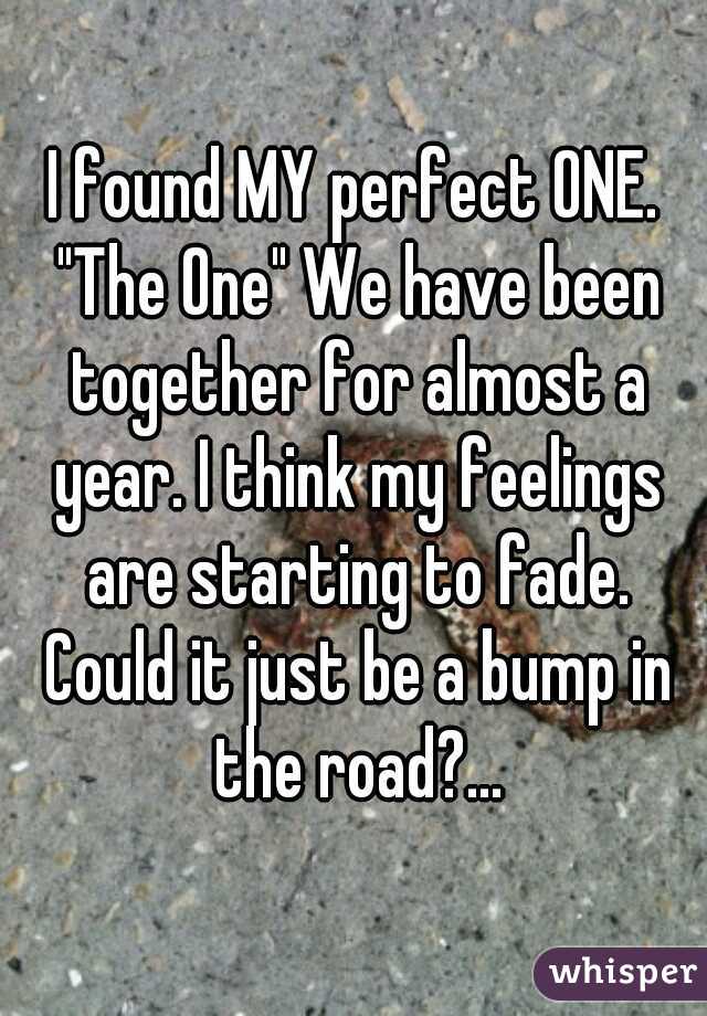 I found MY perfect ONE. "The One" We have been together for almost a year. I think my feelings are starting to fade. Could it just be a bump in the road?...