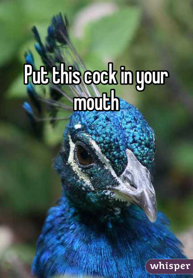 Put this cock in your mouth