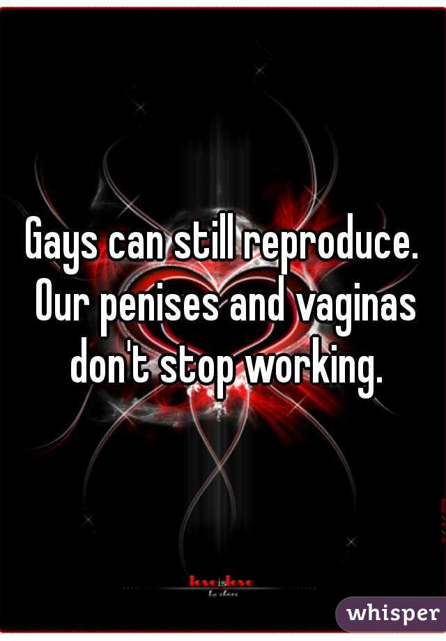 Gays can still reproduce. Our penises and vaginas don't stop working.