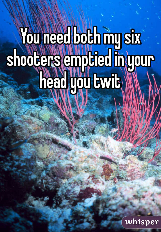 You need both my six shooters emptied in your head you twit
