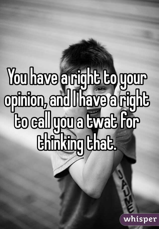 You have a right to your opinion, and I have a right to call you a twat for thinking that.