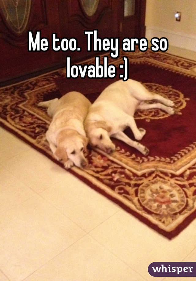 Me too. They are so lovable :)