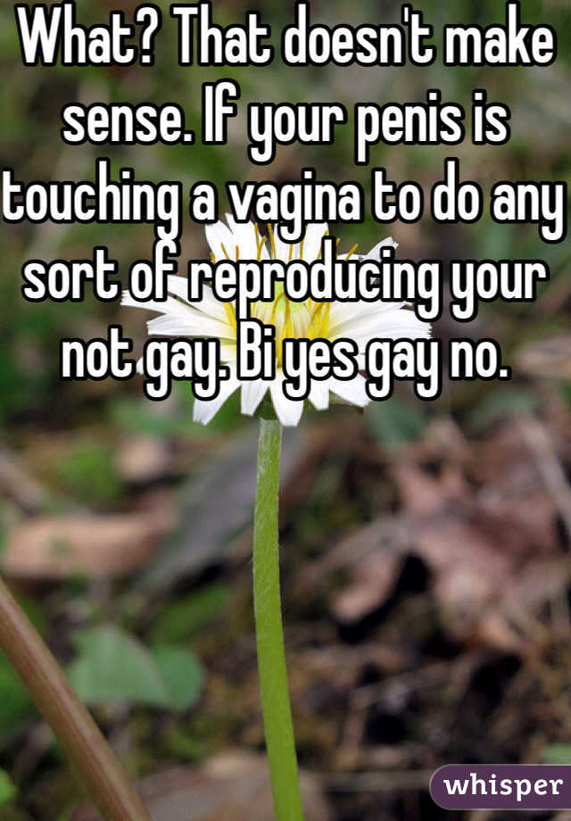 What? That doesn't make sense. If your penis is touching a vagina to do any sort of reproducing your not gay. Bi yes gay no.  