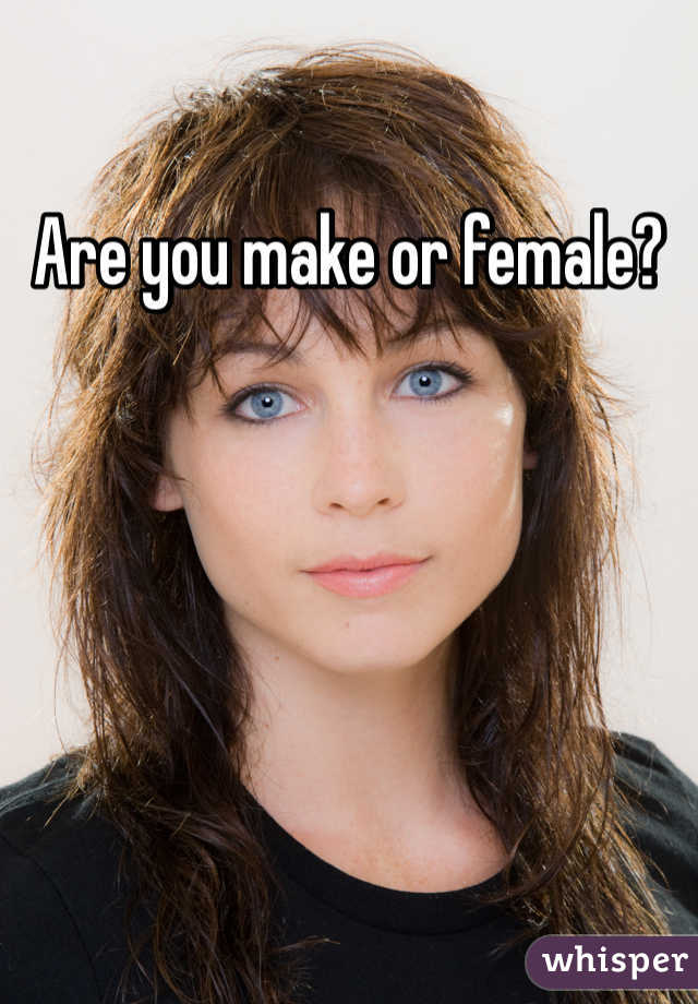 Are you make or female?