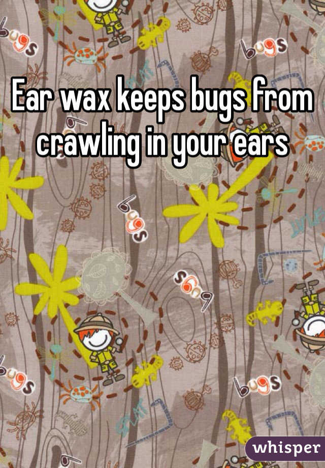 Ear wax keeps bugs from crawling in your ears