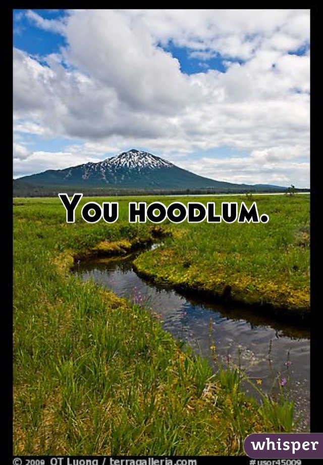 You hoodlum.