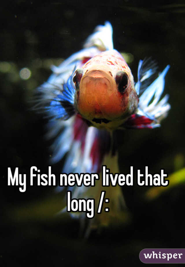 My fish never lived that long /: