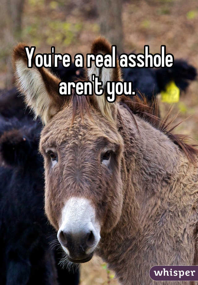 You're a real asshole aren't you. 