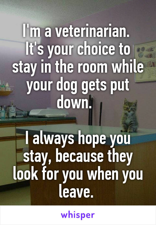 I'm a veterinarian. 
It's your choice to stay in the room while your dog gets put down.  

I always hope you stay, because they look for you when you leave. 