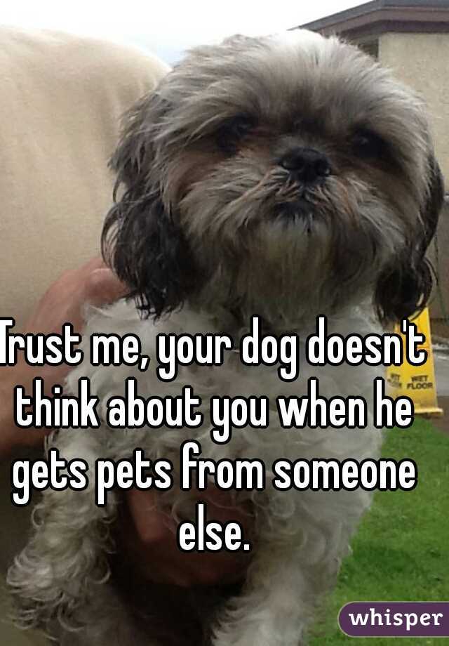 Trust me, your dog doesn't think about you when he gets pets from someone else.