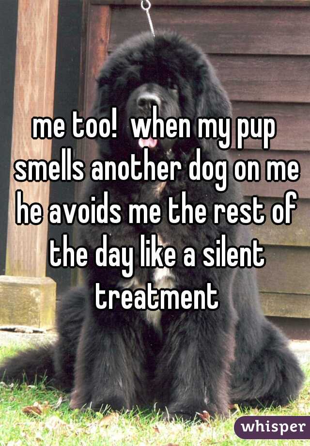 me too!  when my pup smells another dog on me he avoids me the rest of the day like a silent treatment