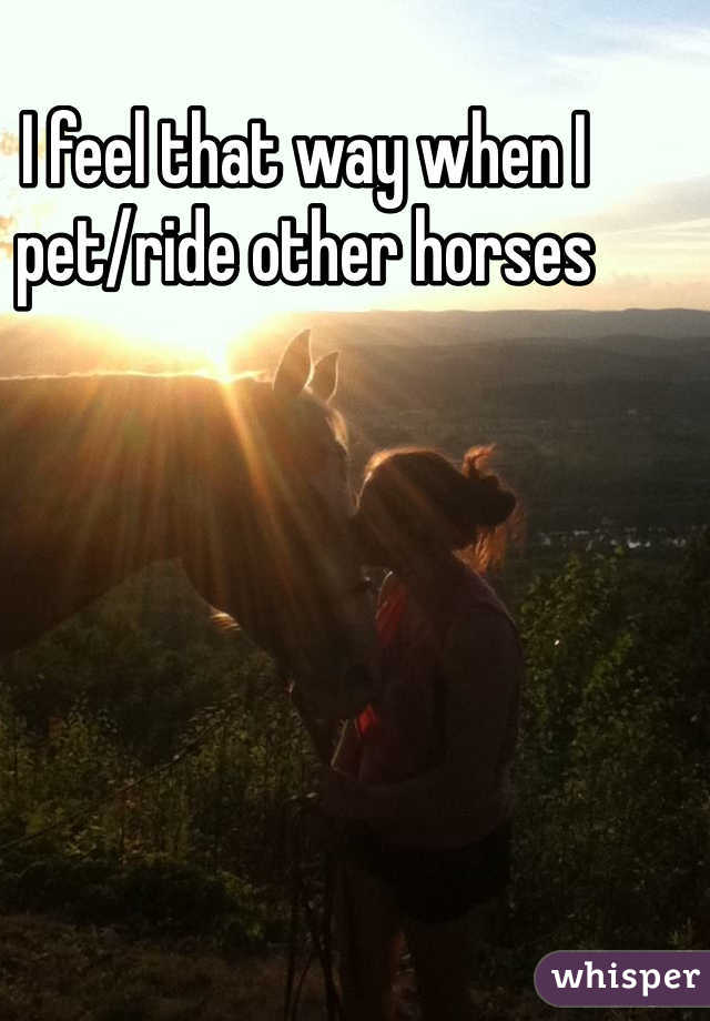 I feel that way when I pet/ride other horses