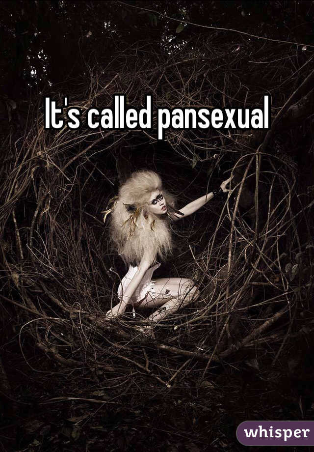 It's called pansexual 
