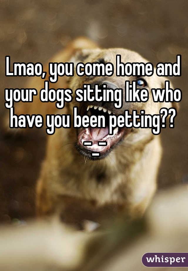 Lmao, you come home and your dogs sitting like who have you been petting??
 -_- 