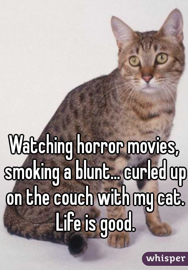 Watching horror movies, smoking a blunt... curled up on the couch with my cat. Life is good.