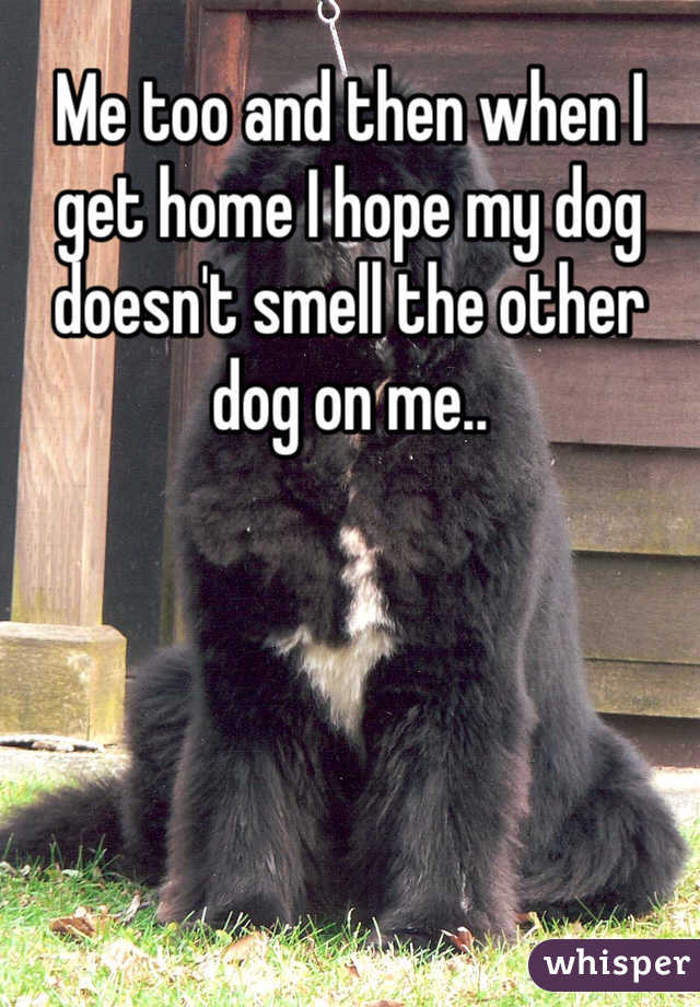 Me too and then when I get home I hope my dog doesn't smell the other dog on me..
