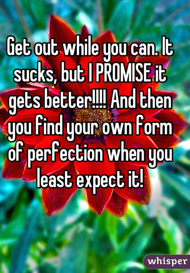 Get out while you can. It sucks, but I PROMISE it gets better!!!! And then you find your own form of perfection when you least expect it!