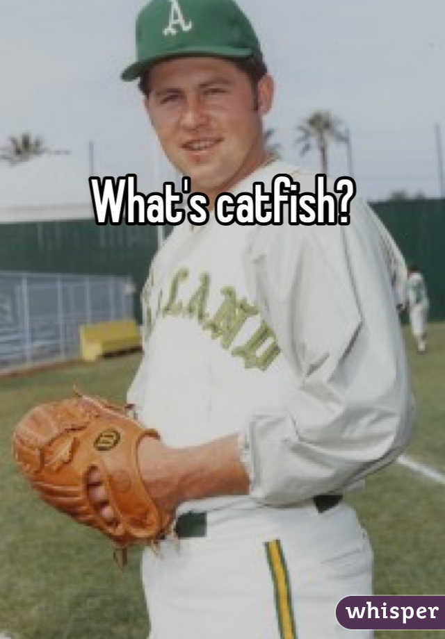What's catfish?