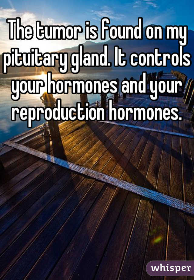 The tumor is found on my pituitary gland. It controls your hormones and your reproduction hormones.