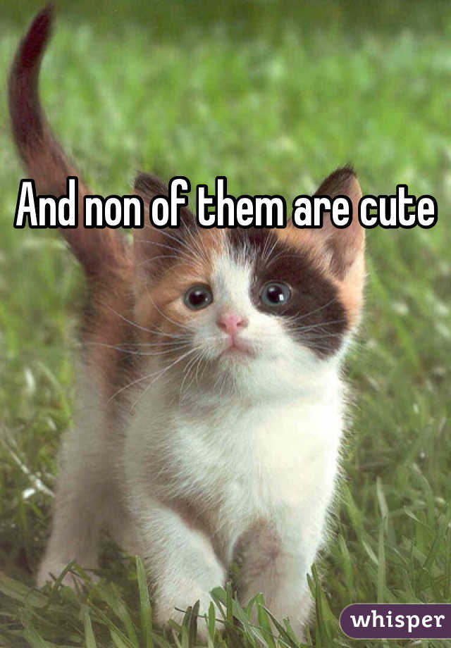 And non of them are cute
