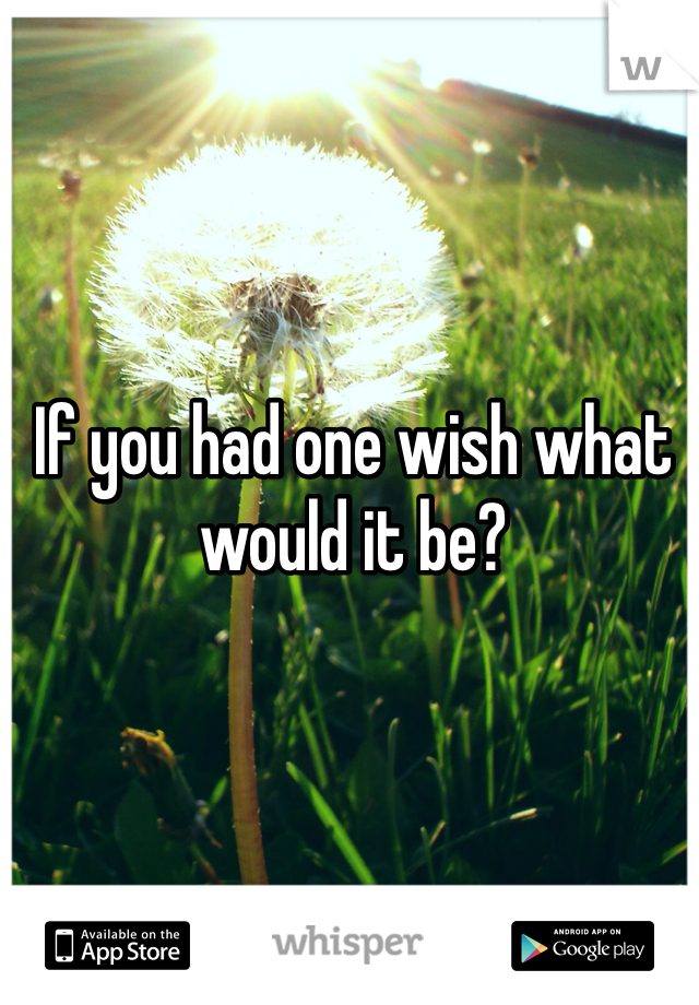 If you had one wish what would it be?