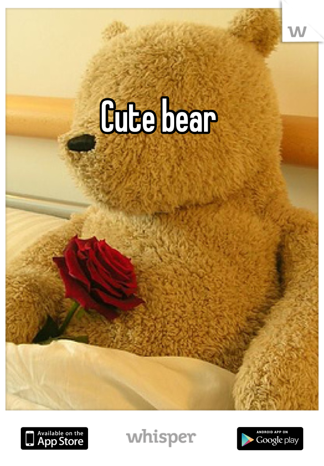 Cute bear 