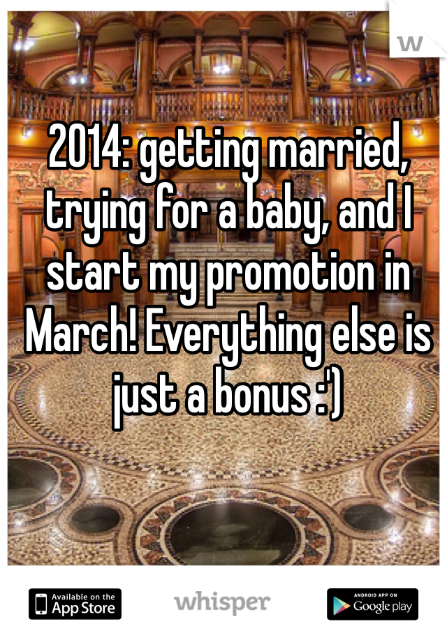 2014: getting married, trying for a baby, and I start my promotion in March! Everything else is just a bonus :')