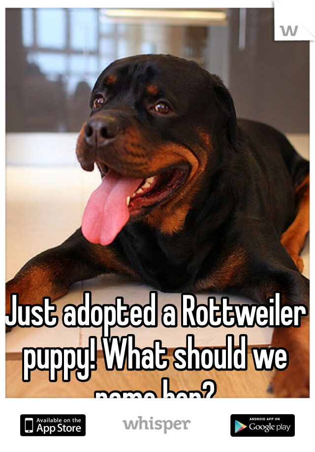 Just adopted a Rottweiler puppy! What should we name her? 