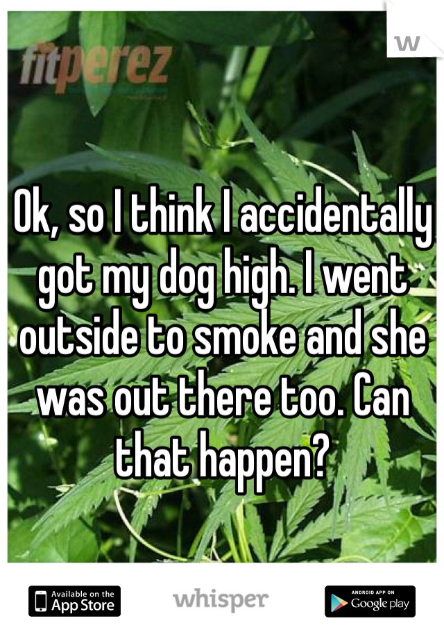 Ok, so I think I accidentally got my dog high. I went outside to smoke and she was out there too. Can that happen?