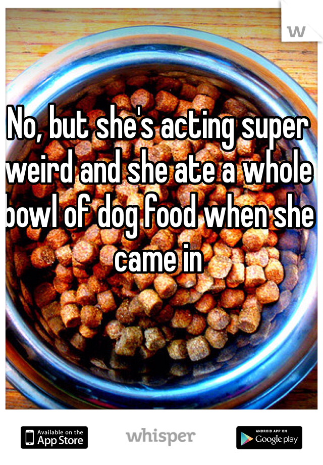 No, but she's acting super weird and she ate a whole bowl of dog food when she came in