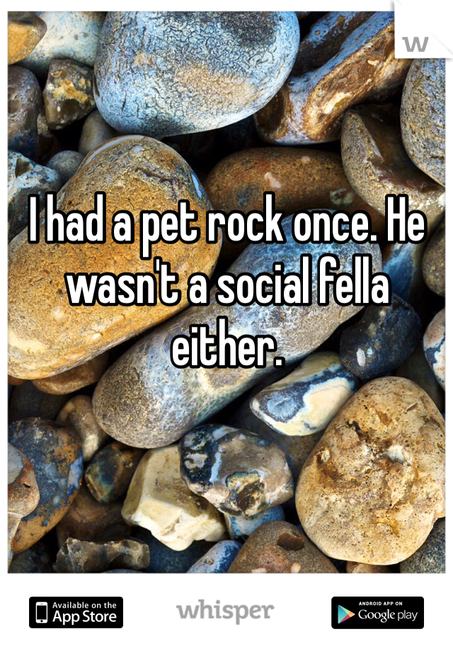 I had a pet rock once. He wasn't a social fella either. 