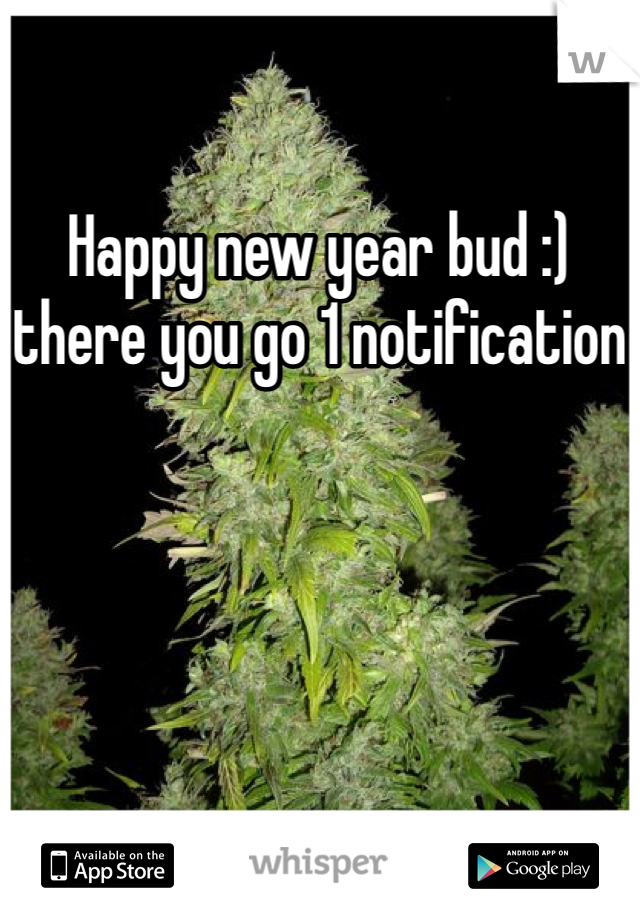 Happy new year bud :) there you go 1 notification
