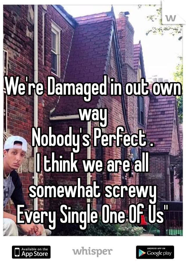 We're Damaged in out own way
Nobody's Perfect .
I think we are all somewhat screwy 
Every Single One Of Us"
