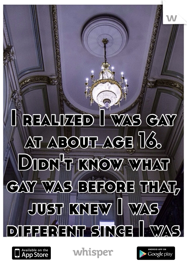 I realized I was gay at about age 16. Didn't know what gay was before that, just knew I was different since I was born...