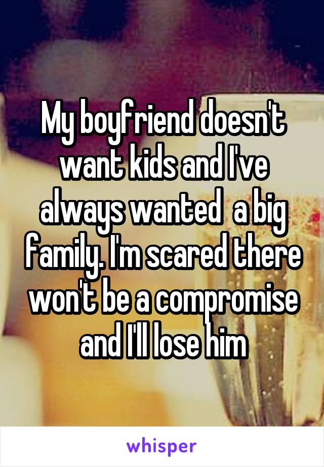 My boyfriend doesn't want kids and I've always wanted  a big family. I'm scared there won't be a compromise and I'll lose him