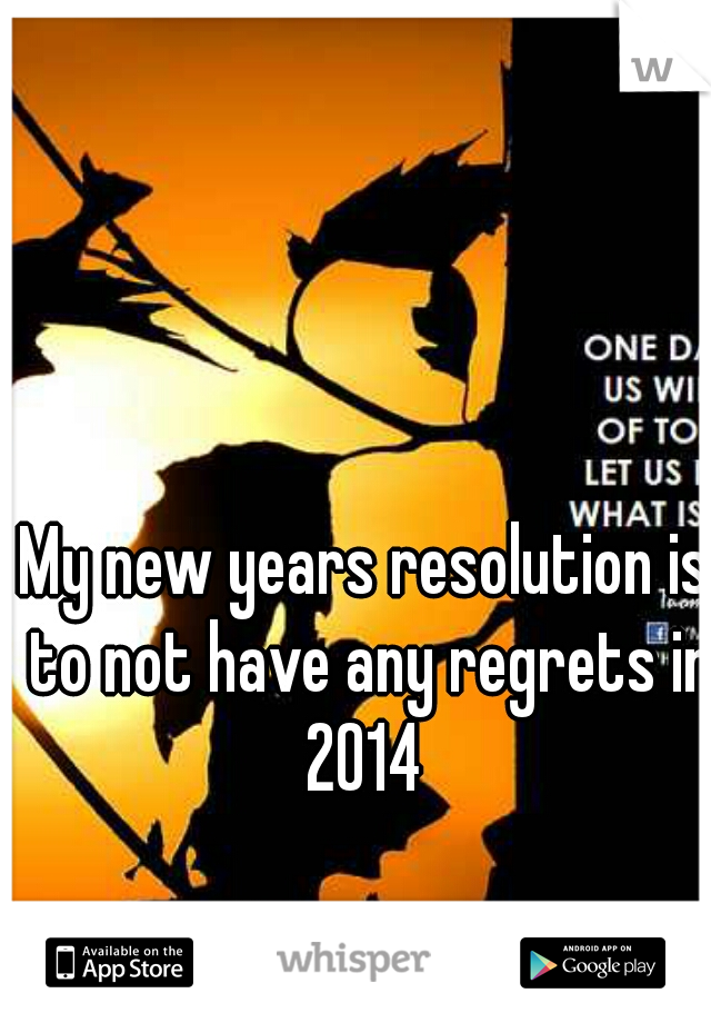 My new years resolution is to not have any regrets in 2014 