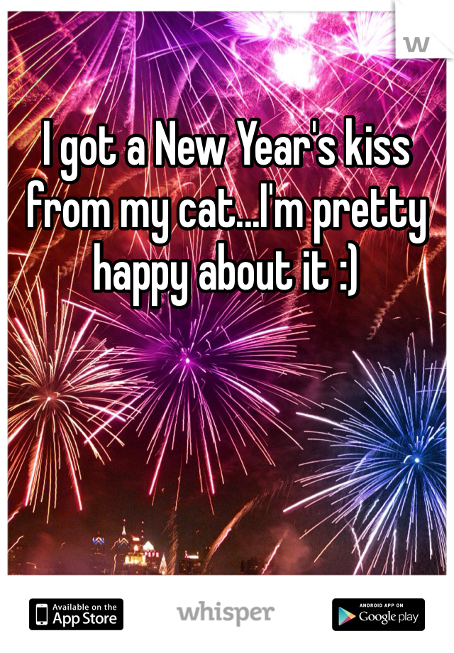 I got a New Year's kiss from my cat...I'm pretty happy about it :) 