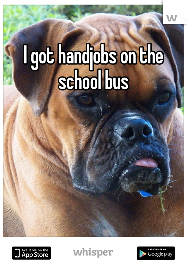 I got handjobs on the school bus
