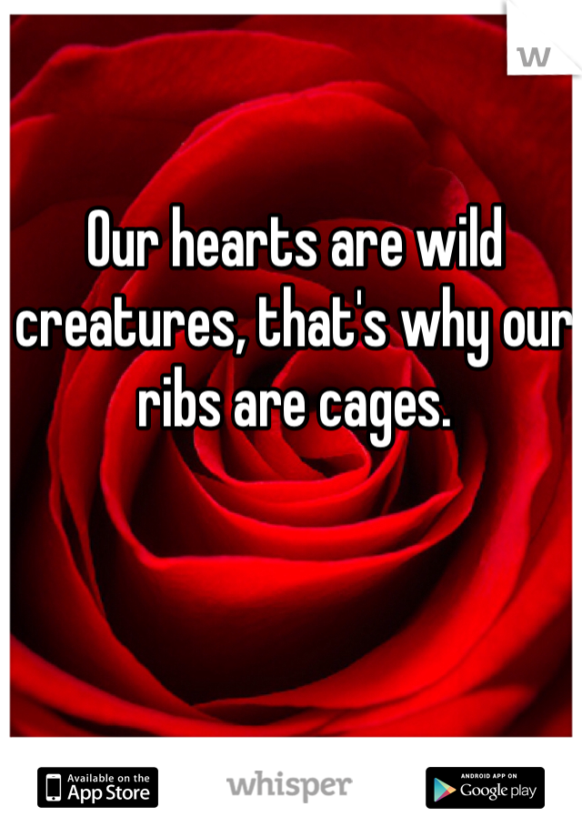 Our hearts are wild creatures, that's why our ribs are cages.