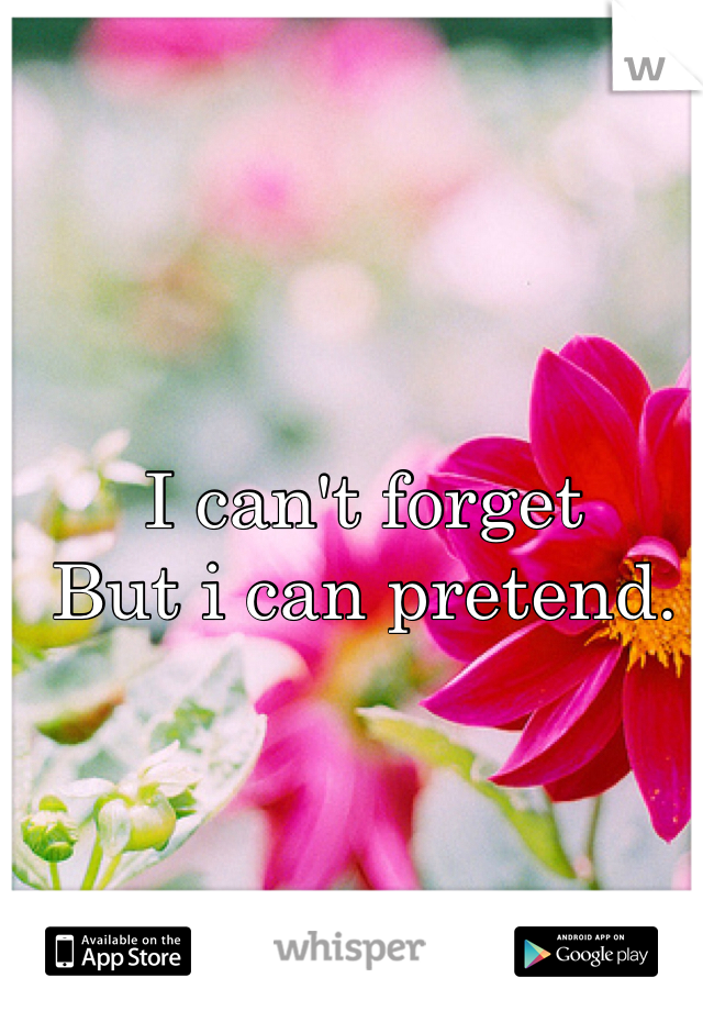 I can't forget 
But i can pretend. 
